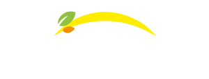 Bonduelle - Повернутися на головну